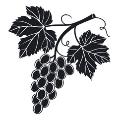 grapes vector illustration