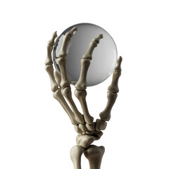 Skeletal hand holding a crystal ball on black on transparent background