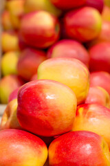 Red apples of various varieties on a farmer's market counter. Natural products, seasonal fruits, local food.