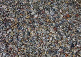 Close-up of colorful pebble stones in the sea in shallow water