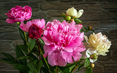 Still life with a bouquet of beautiful peonies.