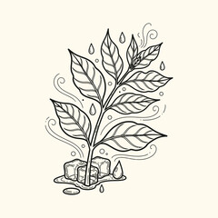 Coffee plant with ice cubes and water drops line art illustration.