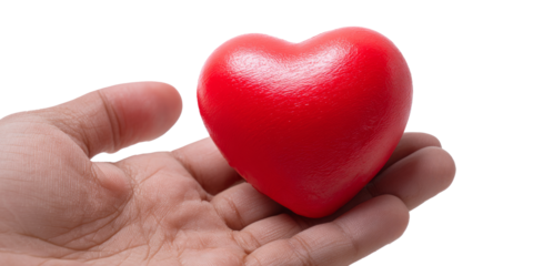 hand holding red heart love on isolate transparency background