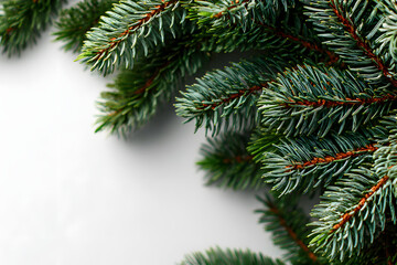 Christmas composition. Fir tree branches on white background. Christmas, winter, new year concept. Flat lay, top view, copy space