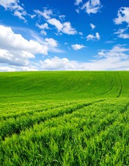 Naklejka premium Lush green field under a vibrant blue sky (2)