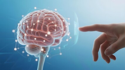Human hand interacting with a digital brain model featuring neural network connections