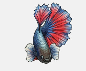 Adobe Illustrator Artwork