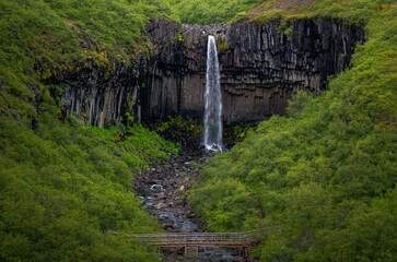 Basalt columns of Svartifoss is a Icelandic waterfall