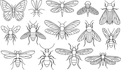 Detailed Line Art Insect Collection Vector Illustration Featuring Butterfly, Dragonfly, Bee and Moth