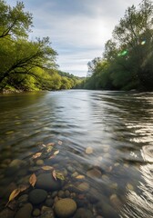 River flowing through scenic landscape with leaves and stones at bottom