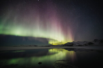 Nighttime photo of a snowy landscape with a reflective lake, starry sky, and vibrant green and purple aurora borealis.