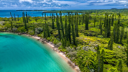 A beautiful aerial perspective flying over the lush canopy of columnar pines towards a pristine beach and turquoise lagoon on the Isle of Pines, New Caledonia. A true natural paradise