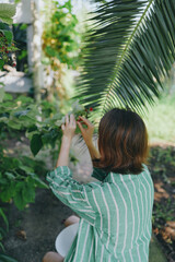 A person in a green striped shirt tends a leafy plant, reaching to pick fruit in a sunlit garden beside palm fronds.