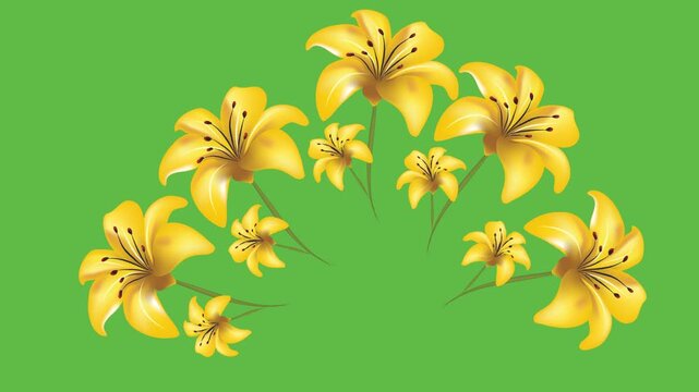 draw set of five yellow lily flower decorate with green leaf in round shape on green screen background
