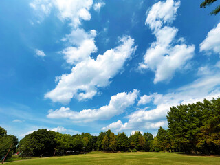 白い雲が広がる青空と公園の木々