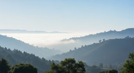 Rolling emerge from morning mist in a scenic landscape