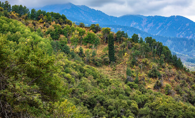 Fototapeta premium mountain landscape in the mountains