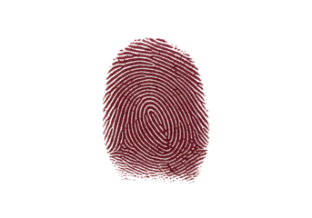 Isolated reddish fingerprint for forensic science, detective work and security systems