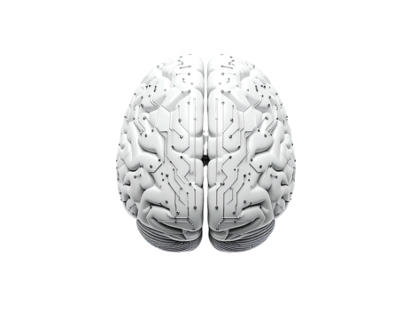 A top-down view of a stylized, white human brain, rendered in 3D.  Circuit board-like patterns are embedded within the brain's surface, giving it a technological look
