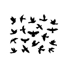 Silhouette of flying birds on white background. Inspirational body flash
