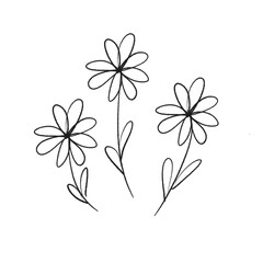Flower illustration hand drawing ink