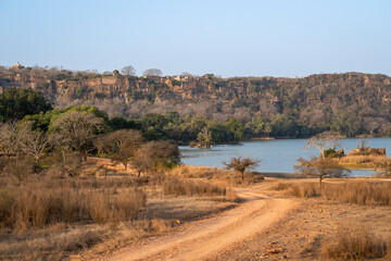 safari track or road and panoramic scenic landscape view of padam talao lake and old ranthambore fort situated on hill or mountain surrounded by national park forest tiger reserve rajasthan india asia