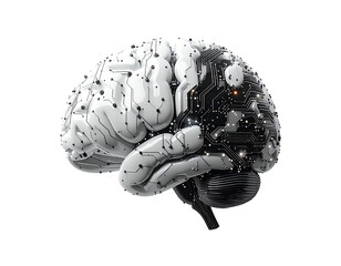 Digital brain, half white, half black circuit board