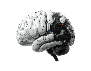 Digital brain, half white, half black circuit board