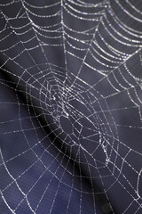 Spooky spiderweb spider web with water droplets close up background