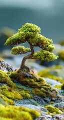 Small bonsai tree on a moss-covered hillside