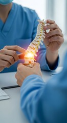 Spine model demonstrates injury in medical consultation