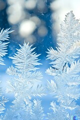 Mesmerizing abstracts showcase the beauty of winter's touch.