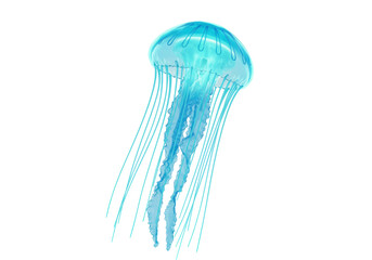 Isolated Jellyfish with Long Tentacles a Captivating Marine Creature Aquarium