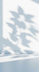 Shadows project abstract shapes on minimalist wall