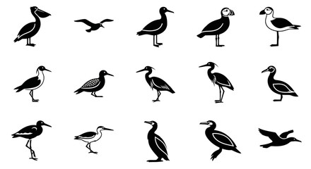 Obraz premium Iconic Sea Birds Silhouettes: Pelican, Puffin, Albatross, Heron Set
