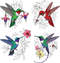 Create Set of Hamming birds victor art on white Background
