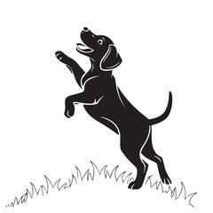A playful black labrador retriever leaps joyfully through the grass, its energy and enthusiasm radiating from its every move isolated on white background