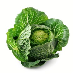 Fototapeta premium This vibrant, fresh cabbage, with its lush green leaves, stands out as a healthy vegetable, showcasing the beauty of organic produce and its culinary potential