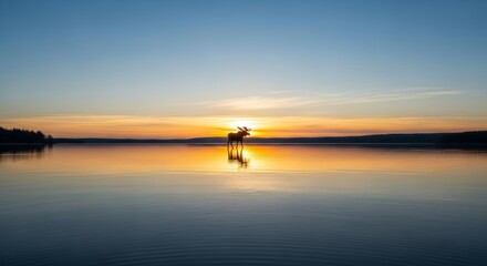 Moose Silhouette at Sunset Over Calm Lake