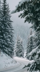 Obraz premium Snow-laden evergreens frame a winding snow-covered road disappearing into a misty mountain forest. The scene is tranquil and evokes a sense of winter solitude