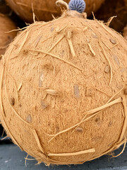 Whole coconut, close-up view.  Rough, brown husk