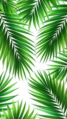 Obraz premium Lush vibrant green palm fronds, arranged symmetrically against a stark white background, creating a tropical feel