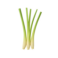 Top-down View of Fresh Lemongrass Stalks Isolated on Transparent Background
