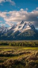 Snow-capped mountain peaks rise majestically above a verdant valley, bathed in soft sunlight under a partly cloudy sky.  The foreground showcases low-lying shrubs and a tranquil expanse