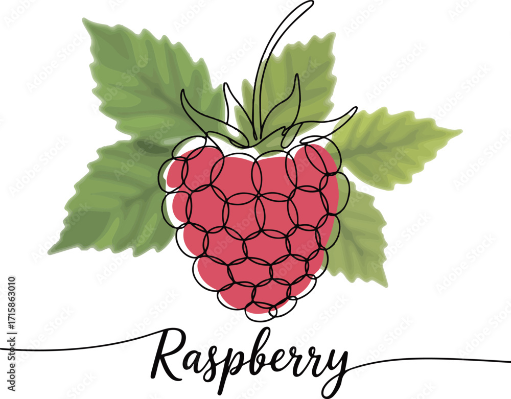 Poster continuous one line drawing of raspberry in minimalist modern style vector illustration representing