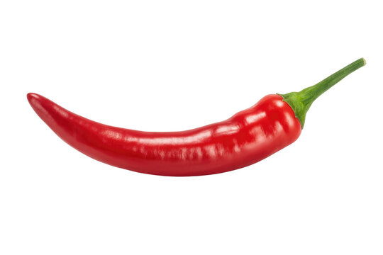 A vibrant red chili pepper, isolated on a transparent background, showcasing its glossy texture and curved shape. background removed