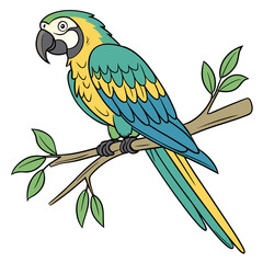 Colorful Parrot Vector (SVG) with Transparent Background