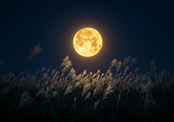 すすきと満月の夜