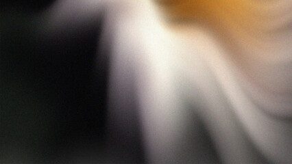 Tranquil abstract background featuring a sophisticated gradient color blend merging into a soft blur motion with artistic noise grain and luminous
