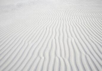 Obraz premium White Sand Surface with Wind Formed Linear Ripples